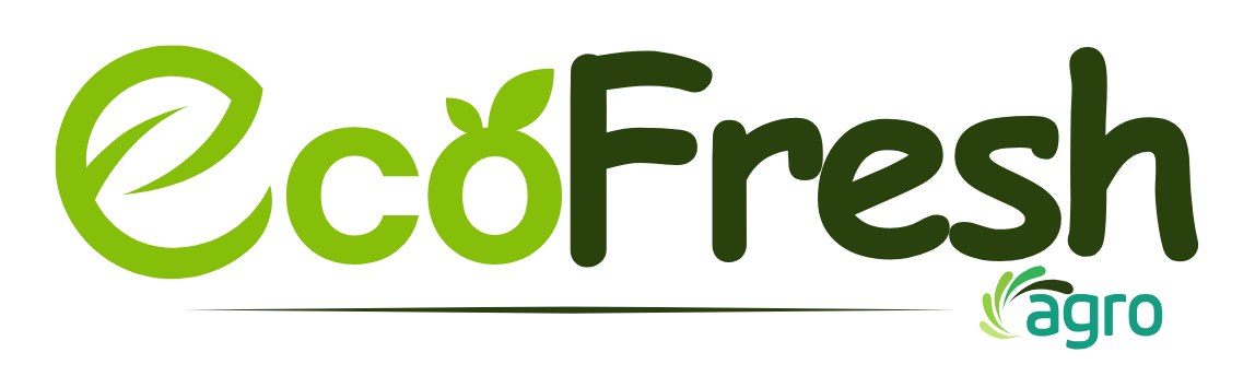 Eco Fresh
